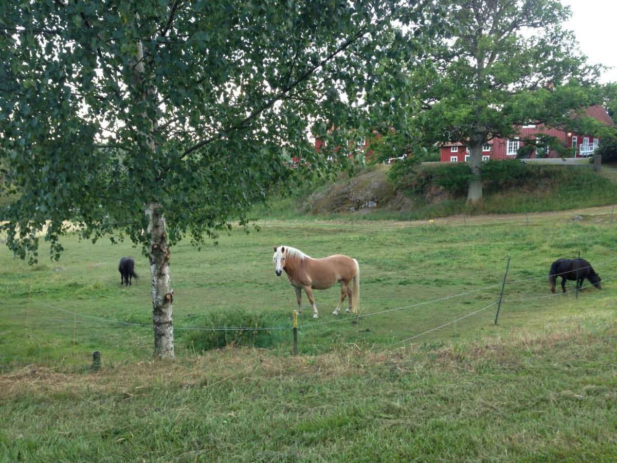 Yxningens Holiday Homes, Cottages And Camping Gusum Luaran gambar